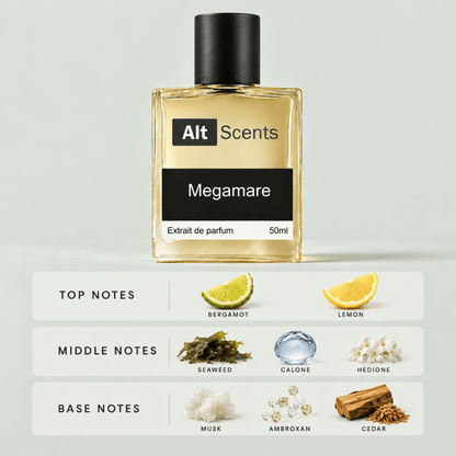 Megamare perfume
